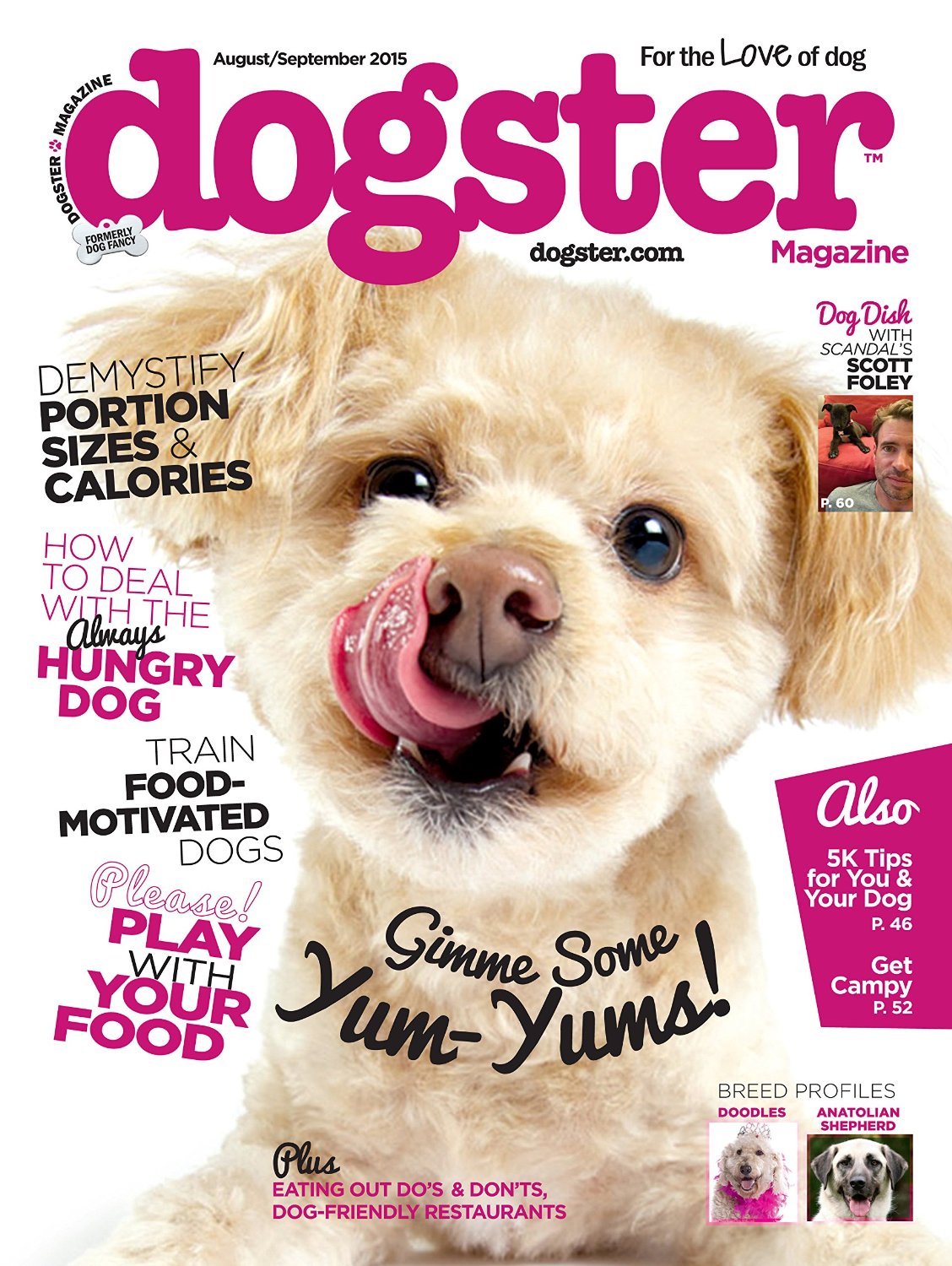 DOGSTER