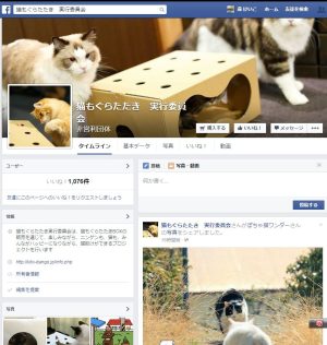 猫もぐらたたき　実行委員会　フェイスブックページ