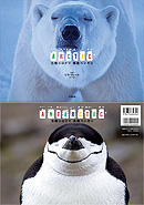 北極シロクマ・南極ペンギン