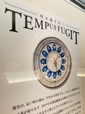 TEMPUS FUGIT ～時は過ぎ行く
〈エントランス・ショーケース展示〉