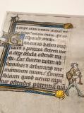 もっとも書物らしい書物―西洋中世写本の魅力に触れる書籍案内
